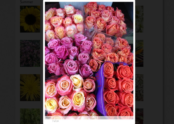 The Flower Market on 7th Street