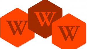  What’s gone wrong with the World Wide Web?